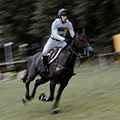 horse-riding-motion-blur.jpg horse-riding-motion-blur.jpg