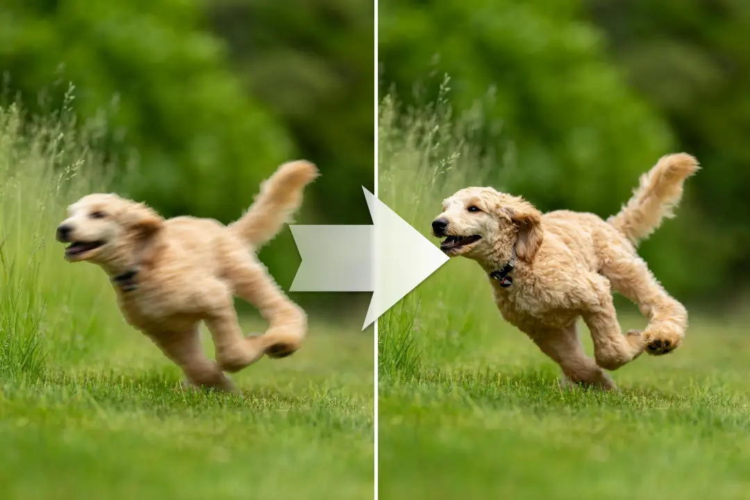 motion_blur_repair